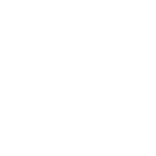 Lancer-Logo-White
